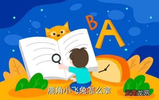 抓住鹿角小飞兔,魔兽世界里抓鹿角小飞兔抓完了眼镜怎么拿下来