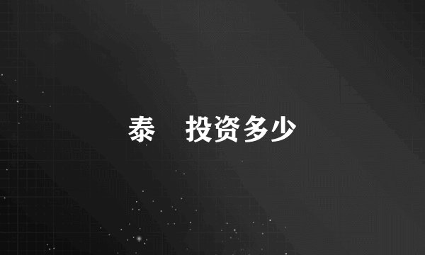 泰囧投资多少