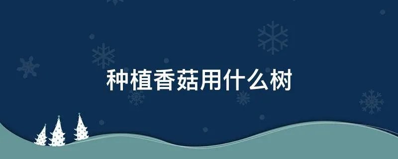 种植香菇用什么树