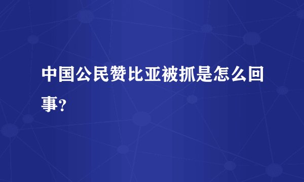 中国公民赞比亚被抓是怎么回事?