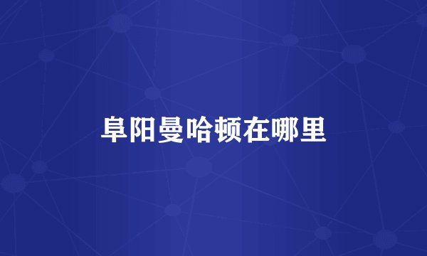阜阳曼哈顿在哪里