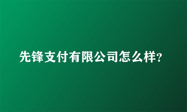 先锋支付有限公司怎么样？