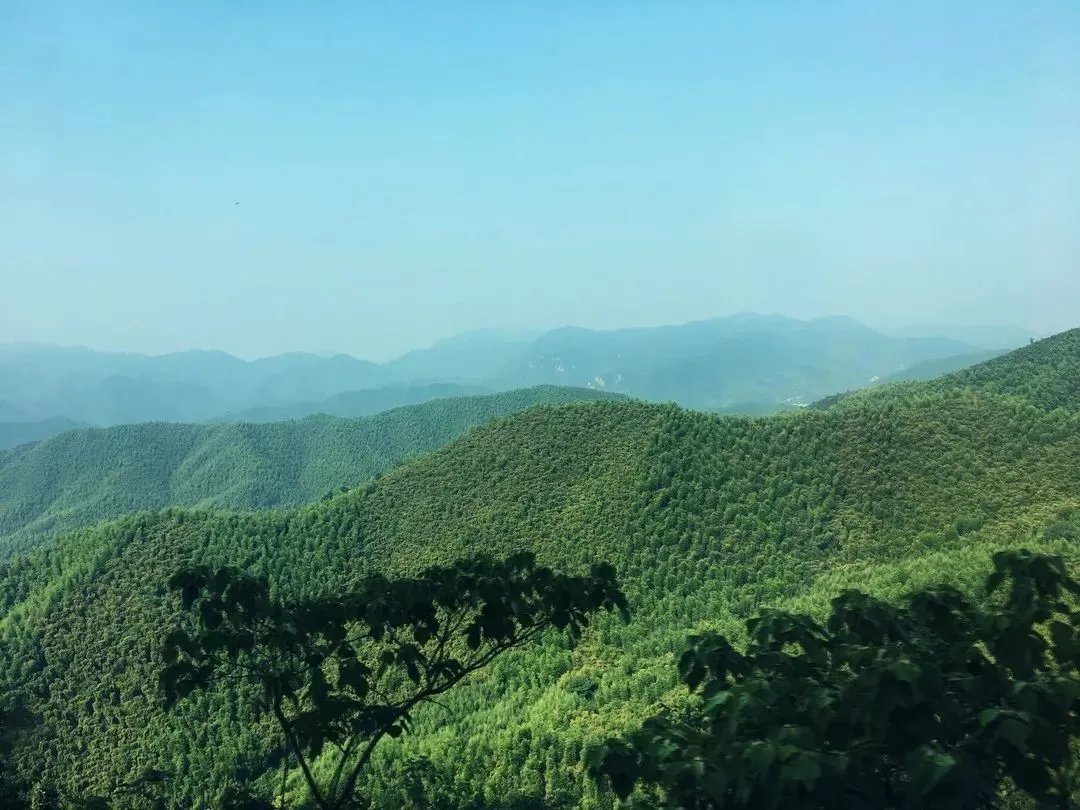 莫干山行,我们在一起!【易居空间装饰】