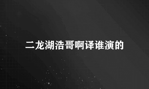 二龙湖浩哥啊译谁演的