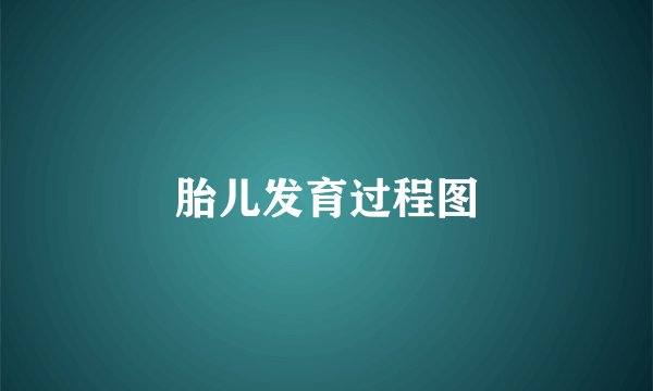 胎儿发育过程图