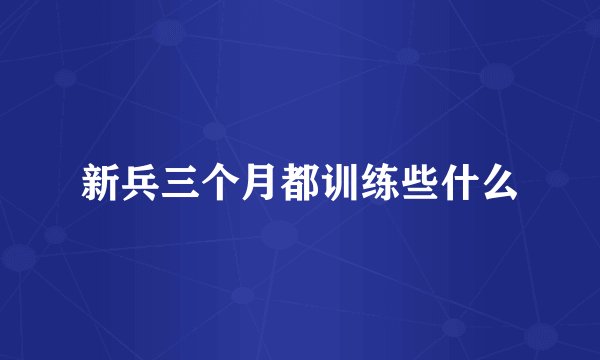新兵三个月都训练些什么