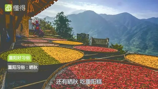 重阳节的习俗