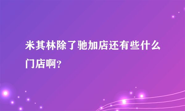 米其林除了驰加店还有些什么门店啊？