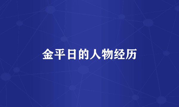 金平日的人物经历