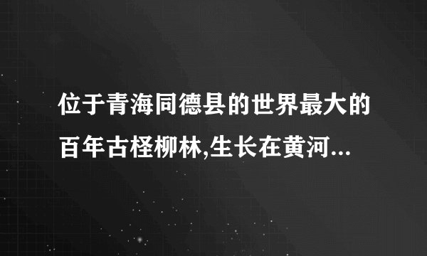 位于青海同德县的世界最大的百年古柽柳林,生长在黄河滩地上,是目前为止发现的唯一一片存在了几百年的柽柳林生态系统,树高、树粗、树龄,还有分布高度都是世界第一。然而,到2018年底,建设中的羊曲水电站大坝落成后,这片全世界独一无二的野生古柽柳林将全部被淹没在水库中。工程投资方提出了移植保护方案,遭到专家们的明确反对。请你推测工程投资方(4分)与专家方(6分)各自的理由。(10分) 河南省中牟县第一高级中学2019届高三第十五次双周考