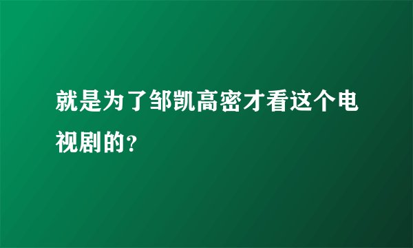 就是为了邹凯高密才看这个电视剧的？