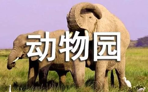 动物园作文