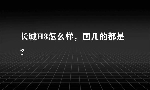 长城H3怎么样，国几的都是？