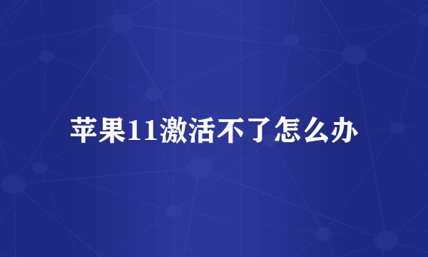 苹果11激活不了怎么办
