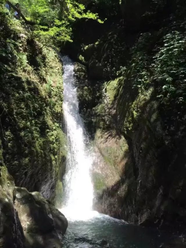 成都青城山好玩吗?