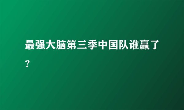 最强大脑第三季中国队谁赢了?