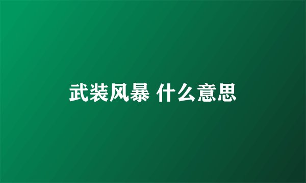 武装风暴 什么意思