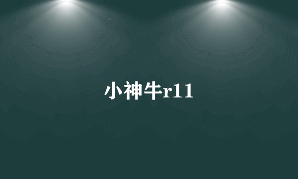 小神牛r11
