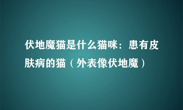 伏地魔猫是什么猫咪：患有皮肤病的猫（外表像伏地魔）