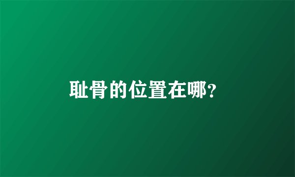 耻骨的位置在哪？