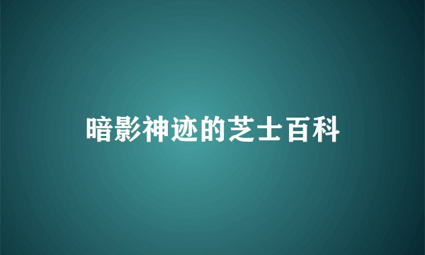 暗影神迹的芝士百科