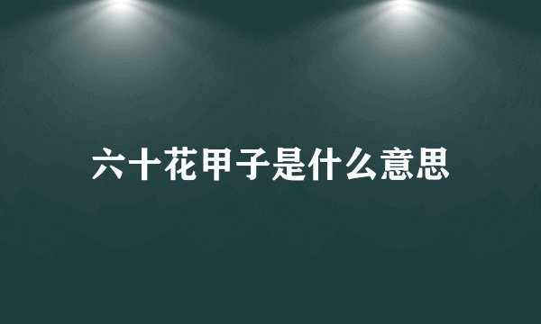 六十花甲子是什么意思