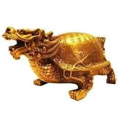 龙龟图片