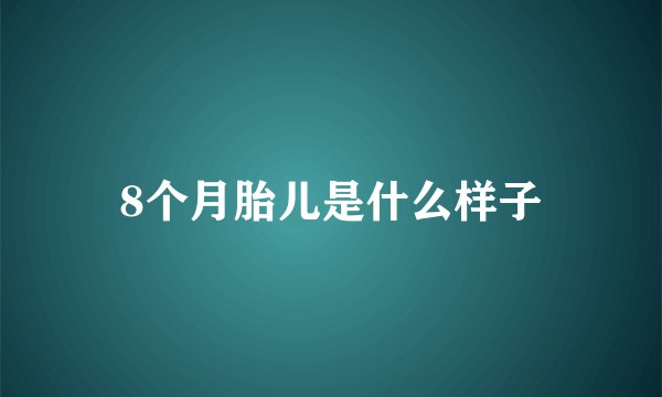 8个月胎儿是什么样子