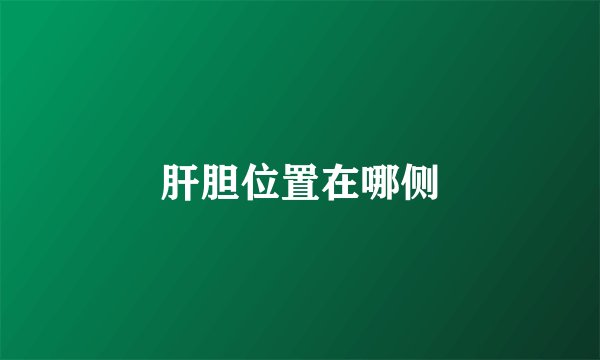 肝胆位置在哪侧