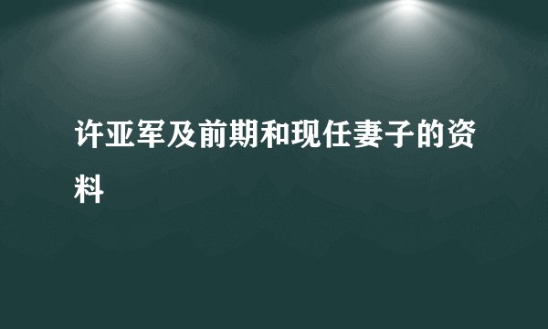 许亚军及前期和现任妻子的资料