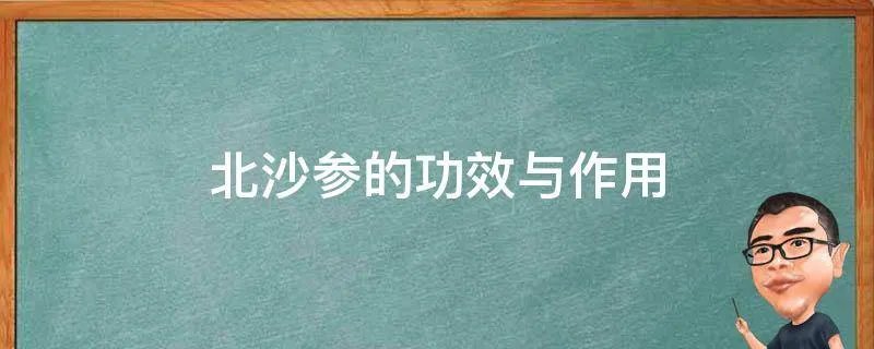 北沙参的功效与作用