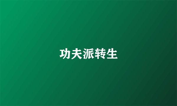 功夫派转生