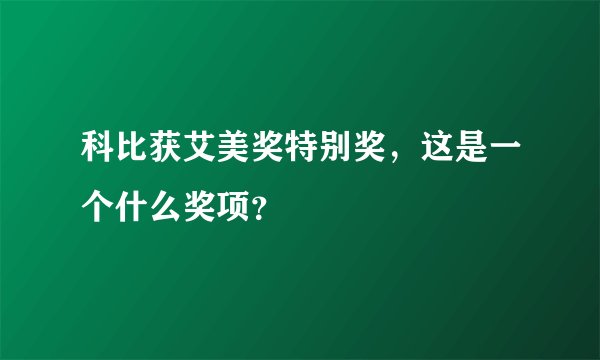 科比获艾美奖特别奖，这是一个什么奖项？