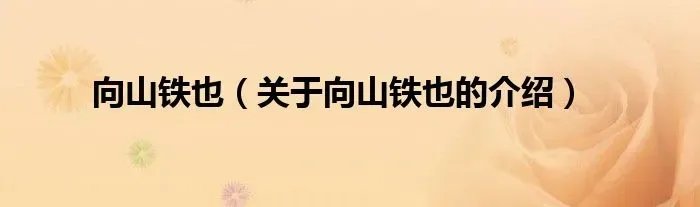 向山铁也（关于向山铁也的介绍）