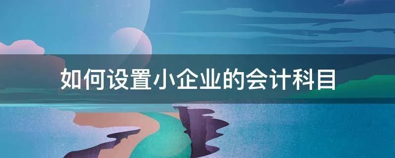 如何设置小企业的会计科目