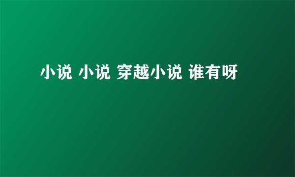 小说 小说 穿越小说 谁有呀
