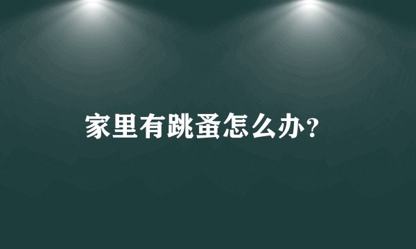 家里有跳蚤怎么办？