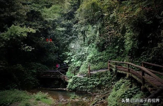 成都青城山好玩吗?