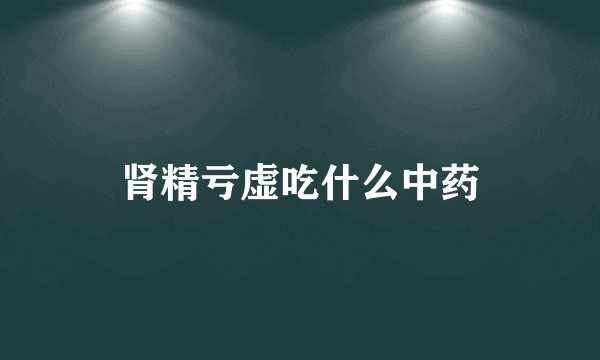 肾精亏虚吃什么中药