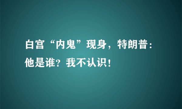 白宫“内鬼”现身，特朗普：他是谁？我不认识！