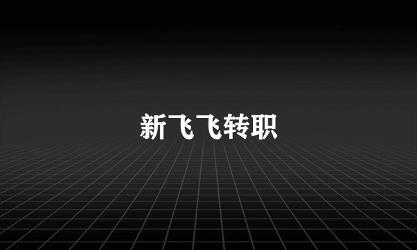 新飞飞转职