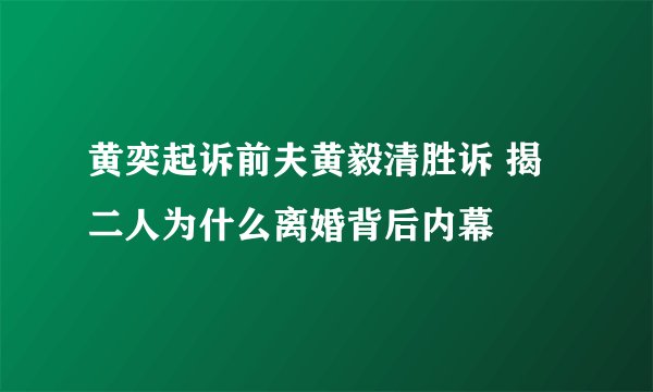 黄奕起诉前夫黄毅清胜诉 揭二人为什么离婚背后内幕