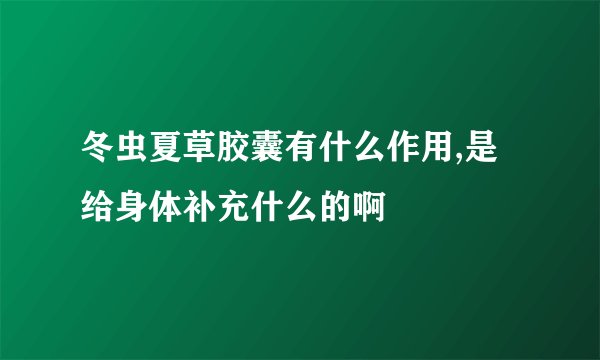 冬虫夏草胶囊有什么作用,是给身体补充什么的啊