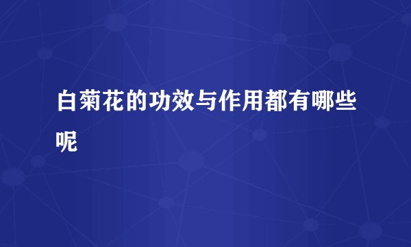 白菊花的功效与作用都有哪些呢
