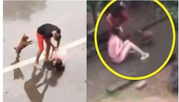 男子雨中殴打怀孕妻子是怎么回事?