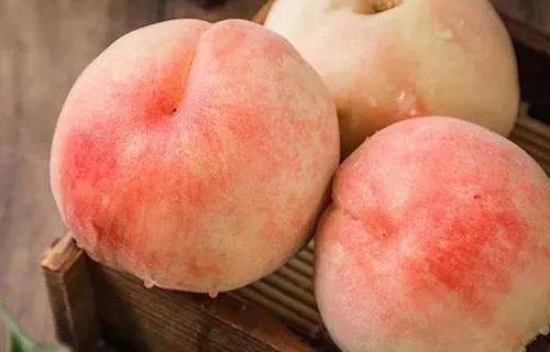 东营的特产有哪些?