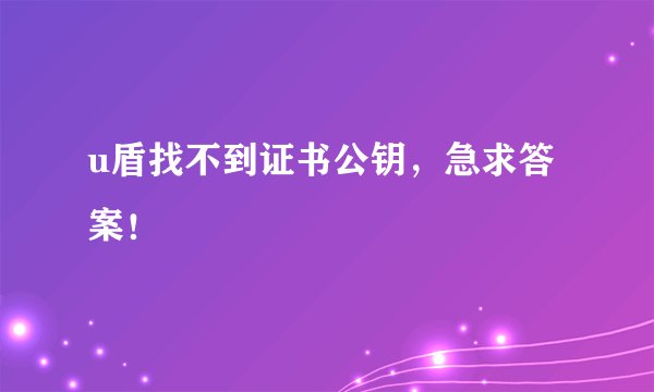 u盾找不到证书公钥，急求答案！