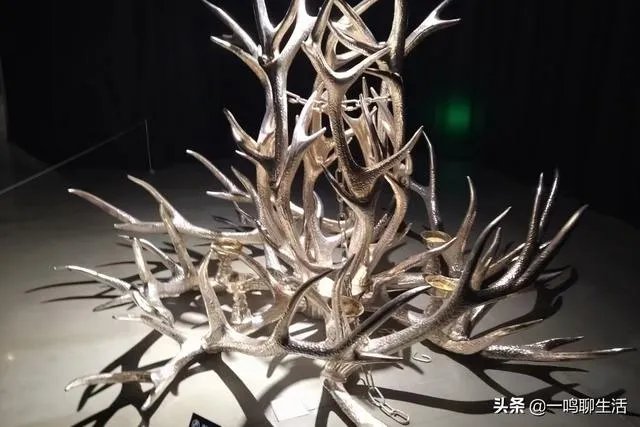 你见过最傻的男人是怎样的?