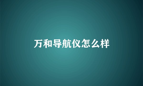 万和导航仪怎么样