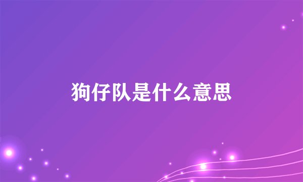 狗仔队是什么意思